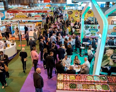 Fruit Attraction debate “tecnologia para aumentar a competitividade do setor agrícola espanhol”