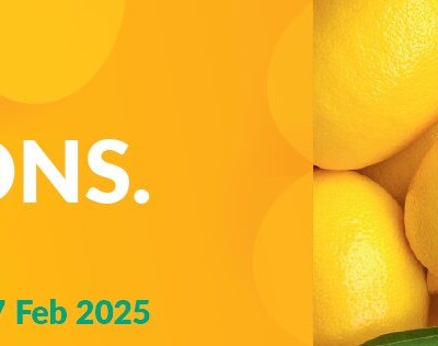 Fruit Logistica 2025: inscrições abertas até 31 de julho