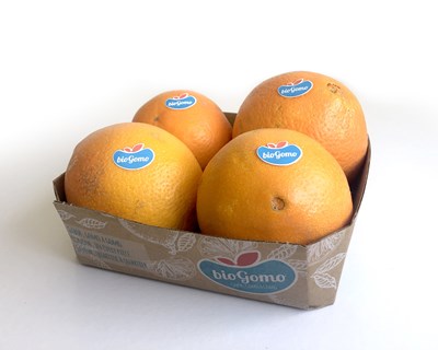 Frusoal quer exportar laranja biológica Biogomo para a Escandinávia