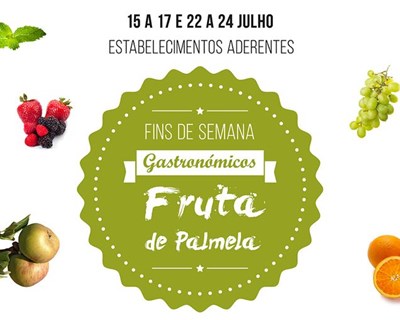 Fruta em destaque em Palmela