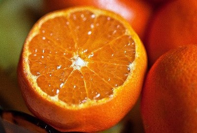 “Frutos 2017” regressa às Caldas da Rainha em agosto