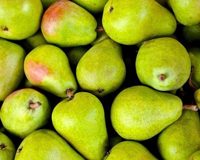 Fundão é palco de workshop sobre Agricultura Biodinâmica