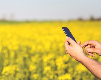 Fundão lidera consórcio europeu “IoTXchange” que vai estudar a internet aplicada à agricultura