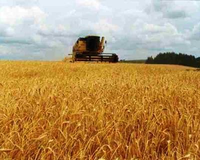 Fundo de garantia para financiar agricultores com juros mais baixos