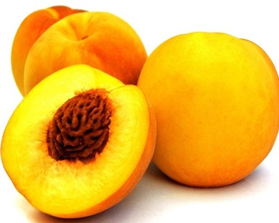 Gala dos 20 anos da Cooperfrutas