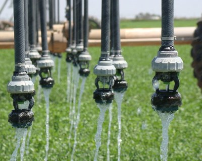 Galiza recebe Simpósio Ibérico sobre Engenharia Hortícola