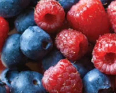 Gestão de rega e nutrientes em framboesas e mirtilos (culturas em solo)