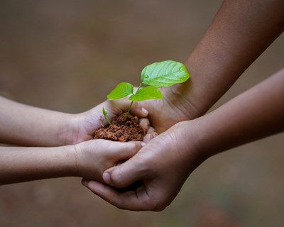 Getac colabora com One Tree Planted para apoiar a restauração florestal