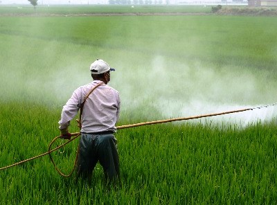 Glifosato: Bruxelas vai propor autorização por mais 10 anos