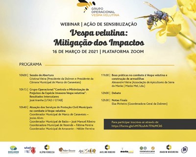 GO Vespa Velutina promove Ação de Sensibilização