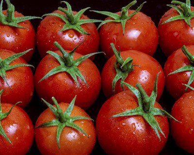 Goiânia acolhe II Congresso Luso-Brasileiro de Horticultura
