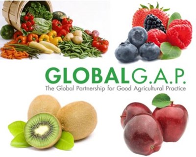 Gondomar é palco de formação sobre GlobalGAP