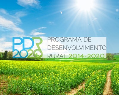 Governo altera opções de pedidos de pagamento no âmbito do PDR