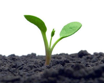 Governo antecipa pagamento das principais medidas agroambientais