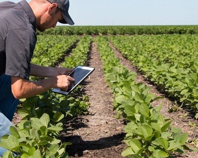 Governo anuncia aviso de 12 milhões de euros para agricultura de precisão