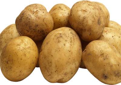 Governo aprova linha de crédito de €3 milhões para armazenar excesso de batata
