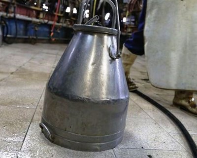 Governo cria subcomissão específica para o setor do leite e produtos lácteos