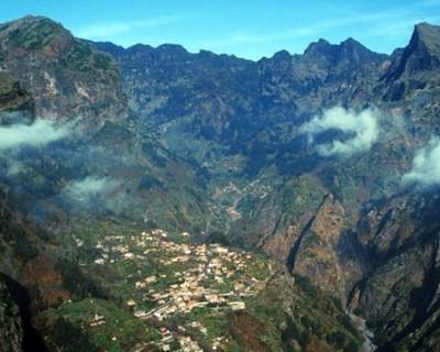 Governo da Madeira cria novo regime para a produção pecuária