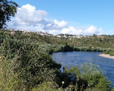 Governo define espécies, dimensões e períodos de pesca permitidos