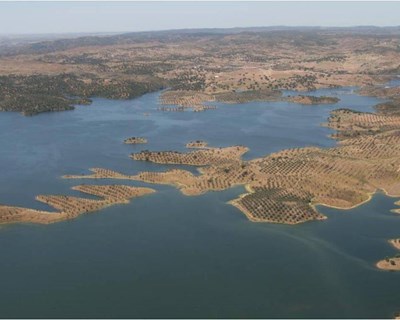 Governo desafia empresários espanhóis a investir no setor agroflorestal