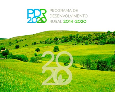 Governo diz que já executou metade do PDR