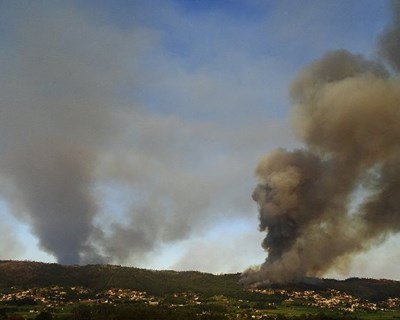 Governo garante apoios a agricultores que tiveram prejuízos