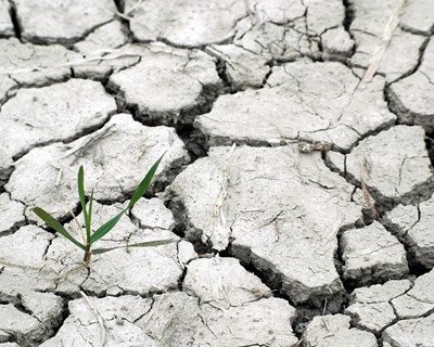 Governo reúne Comissão da Seca sobre gestão da água no Algarve