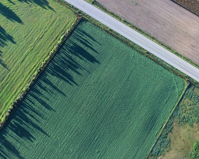 Governo tem de pedir alteração ao mecanismo europeu de apoio ao setor agrícola, afirma a CAP
