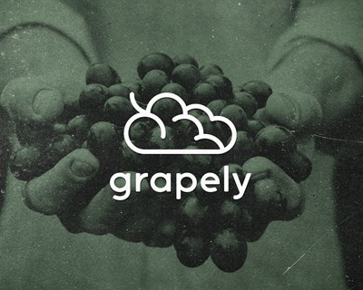 Grapely, a nova startup portuguesa sediada no Douro que quer democratizar ferramentas digitais para adegas de todas as dimensões