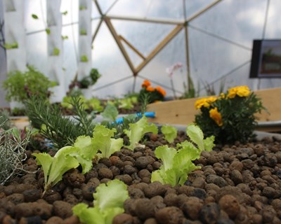 GreenFest: a sustentabilidade celebra-se em 2017 em Torres Vedras