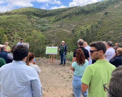 Grupo Altri junta proprietários para mostrar no terreno o trabalho de proteção e valorização da floresta