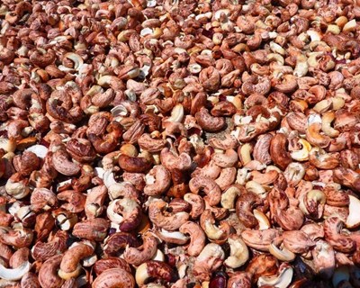 Guiné-Bissau: quebra no negócio do caju desacelera crescimento económico