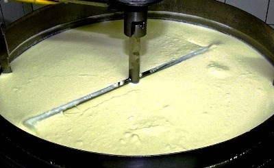 Holanda: cooperativa dá prémio a quem reduzir produção de leite