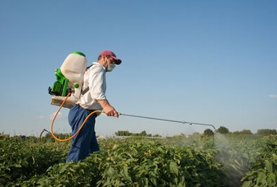 Holanda defende a utilização de produtos naturais no combate às pragas