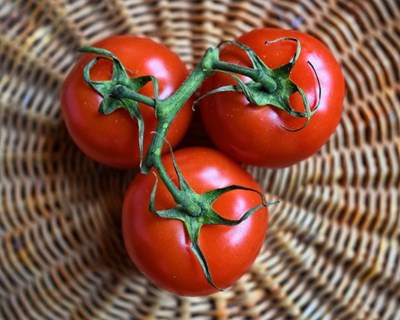 HUB4AGRI envolve 15 entidades da cadeia agroalimentar