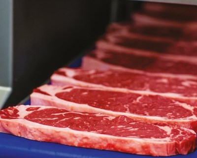 I Conferência de Logística da Indústria Agroalimentar chega em outubro