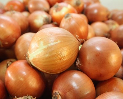 I Congresso Luso-Brasileiro de Horticultura: submissão de resumos até 31 de julho