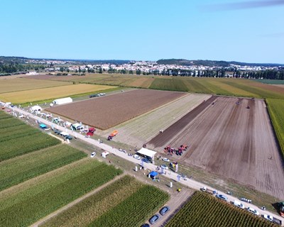 I edição do “Mondego Agrícola 2017” foi um sucesso