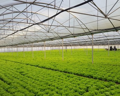 IBR de Guimarães tem sido importante para a nova agricultura do século XXI