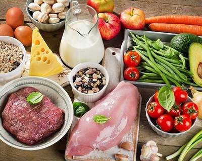 ICAAM realiza sessão sobre implementação de rede alimentar local