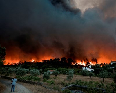 ICNF reforça vigilância em parques e áreas protegidas devido ao risco de incêndio