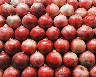 Idanha-a-Nova marca presença na principal feira Biológica de França