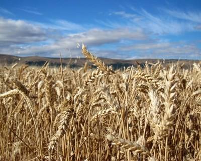 Idanha-a-Nova: seminário reflete sobre “Agricultura: os próximos 10 anos”