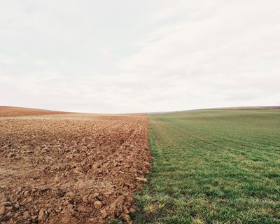 IFAP promove sessões de formação sobre seguros agrícolas