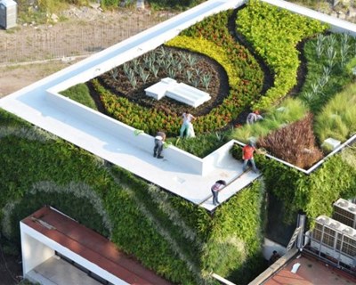 II Jornadas de Jardinagem Galaico-Portuguesas