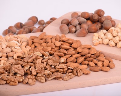 III Congresso Portugal Nuts
