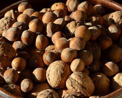 III Simpósio Nacional de Frutos Secos acontecerá em novembro