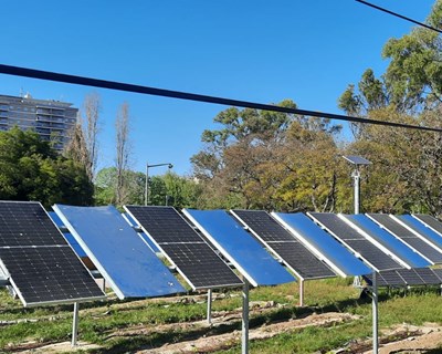 Image4All desenvolve projeto "agrovoltaico" na FCUL