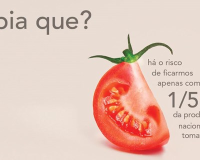 Impacto da proibição do uso de fitofarmacêuticos em debate