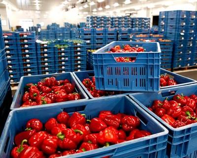 Importação de alimentos: Rússia impõe proibição a mais quatro países